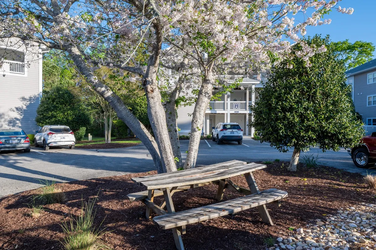 A peaceful outdoor area featuring a picnic table beneath a flowering tree, adjacent to a visible parking area. The surroundings are lush and inviting, ideal for relaxing, social gatherings, or simply appreciating the coastal landscape.